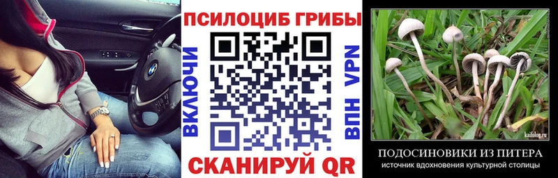 Галлюциногенные грибы Magic Shrooms  цены наркотик  Златоуст 